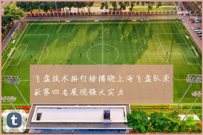 飞盘技术排行榜揭晓上海飞盘队荣获第四名展现强大实力